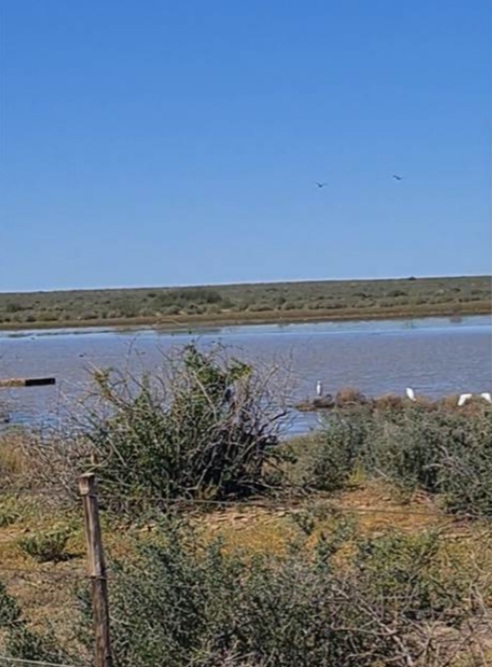 Commercial Property for Sale in Brandvlei Northern Cape